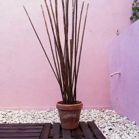 Just Chill'n Tejo * Lisbona