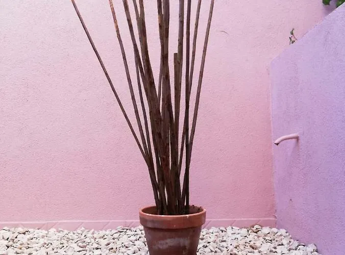 Just Chill'n Tejo * Lisbon